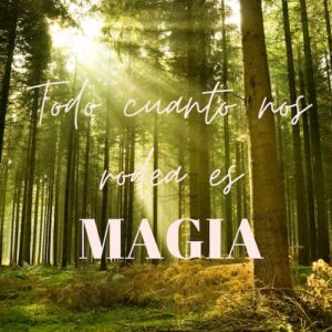 Todo cuanto nos rodea es magia