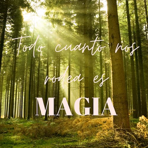 Todo cuanto nos rodea es magia