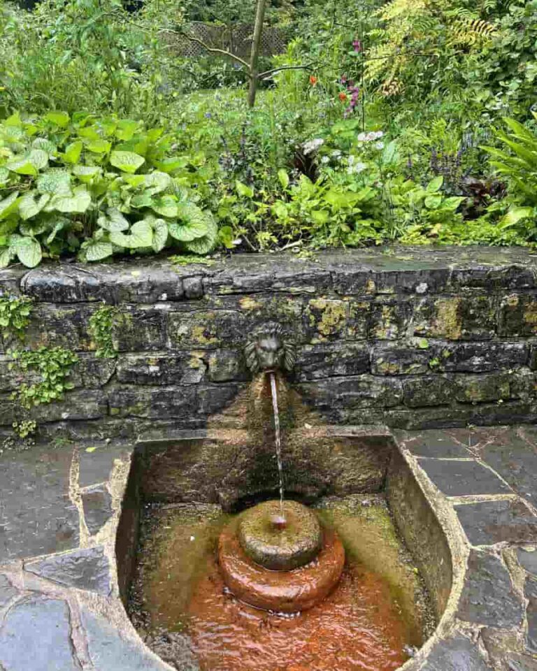 Chalice Well Red Spring Boca del leon